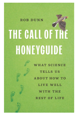 Những loài chim giúp con người, và câu chuyện về sự hợp tác giữa các loài