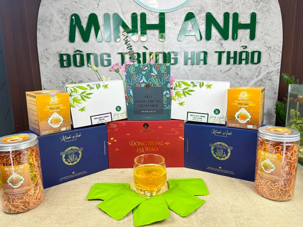 TÁC DỤNG KHÁNG VIRUS CỦA NẤM ĐÔNG TRÙNG HẠ THẢO (CORDYCEPS)