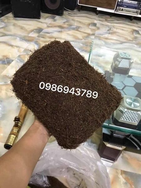 Thuốc lào và thuốc lá so sánh đánh giá tổng thể