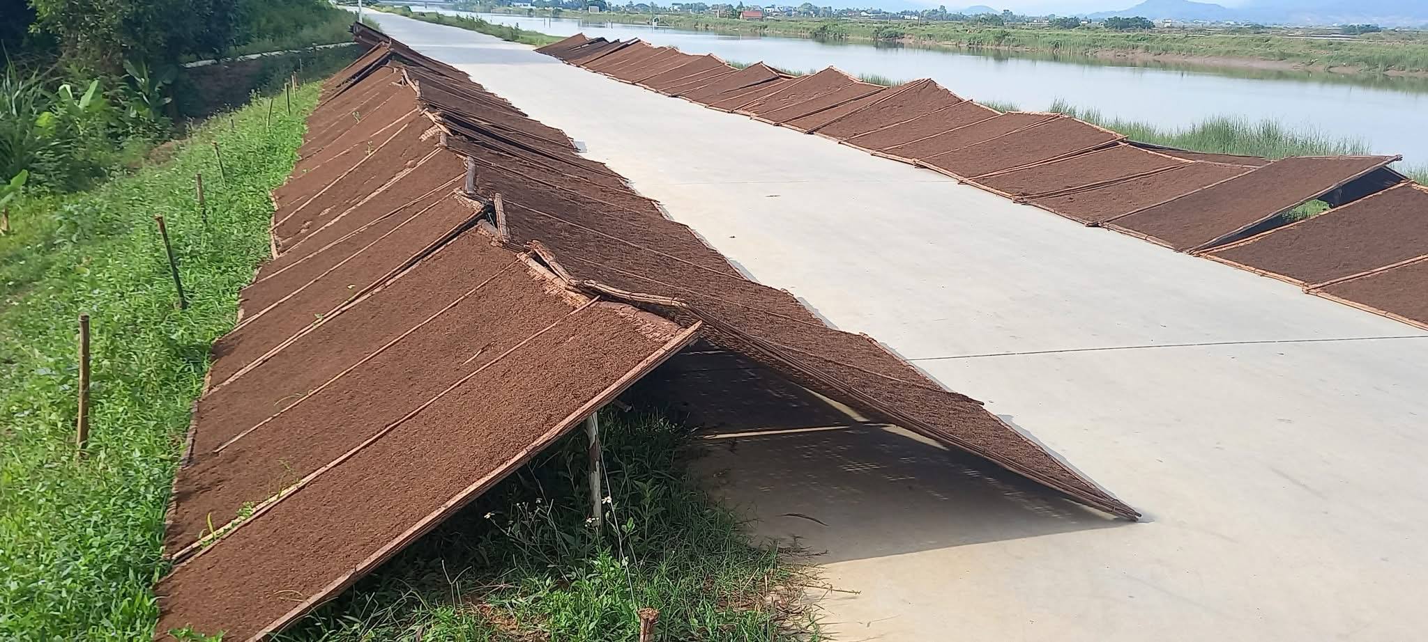 Mẹo trộn thuốc lào giúp hút êm – đỡ sặc dành cho người mới