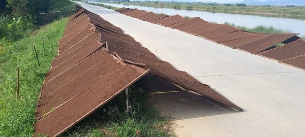 Mẹo trộn thuốc lào giúp hút êm – đỡ sặc dành cho người mới