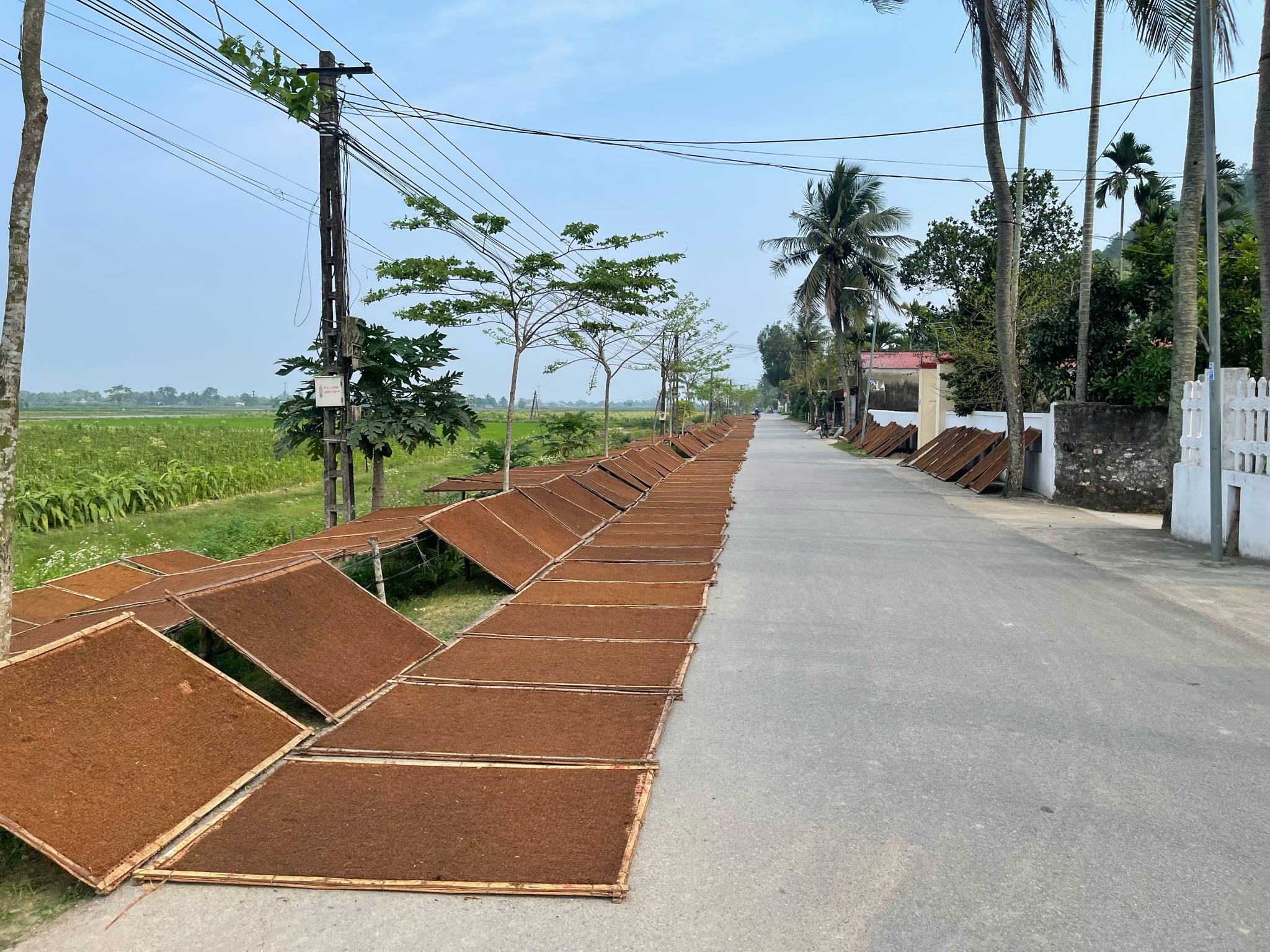 Thuốc lào mạnh nhất hiện nay – cảnh báo người mới