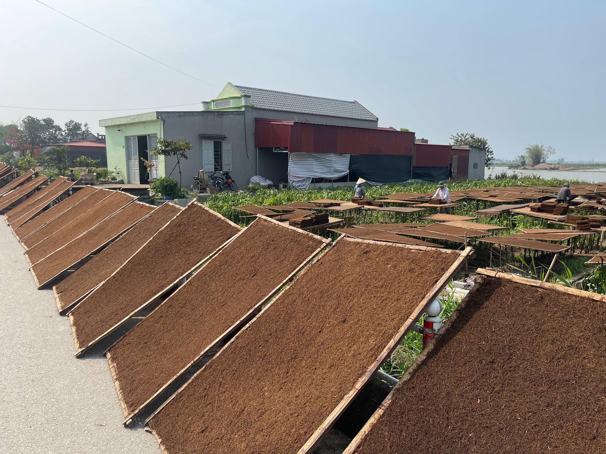 Giá thuốc lào hiện nay – cập nhật 2025
