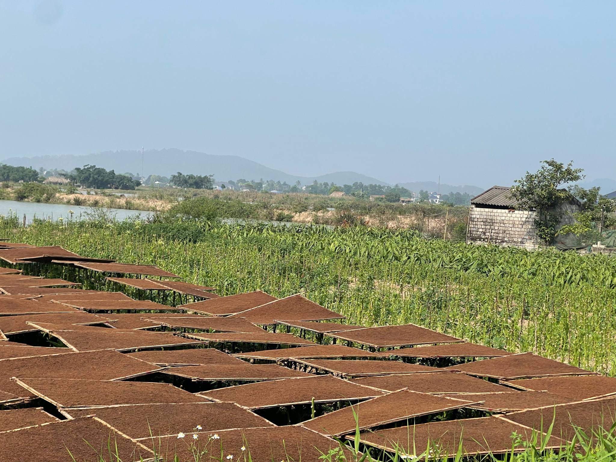 Văn hóa hút thuốc lào trong các dịp lễ – tết truyền thống