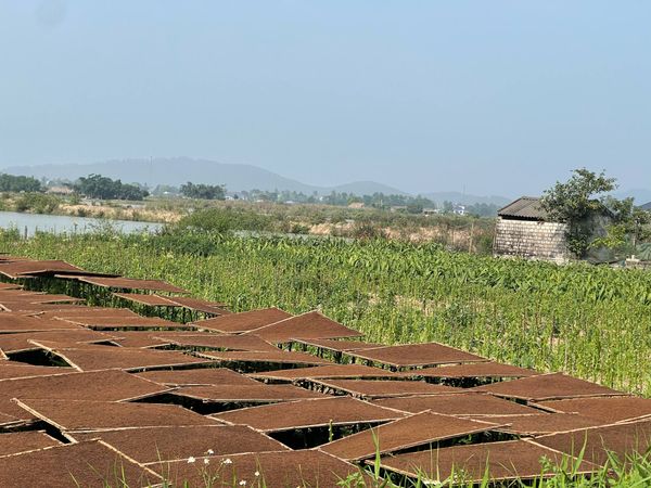 Văn hóa hút thuốc lào trong các dịp lễ – tết truyền thống