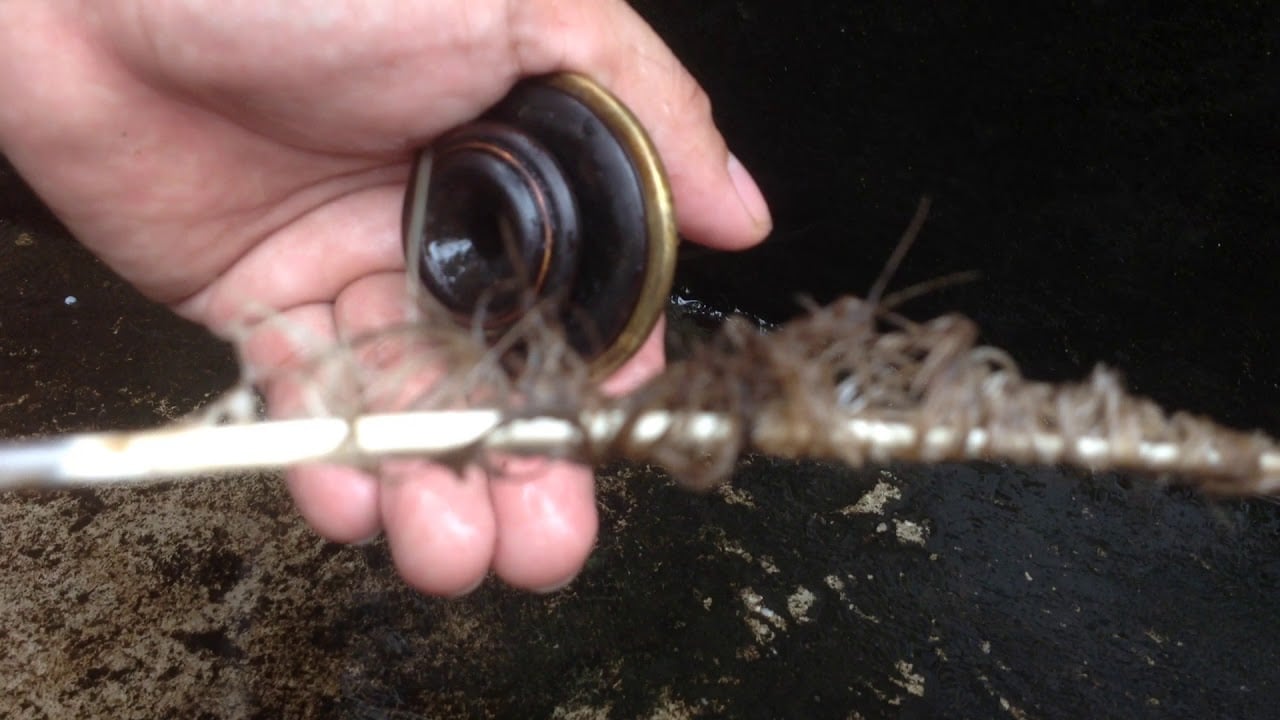 Hướng dẫn vệ sinh điếu cày đúng cách