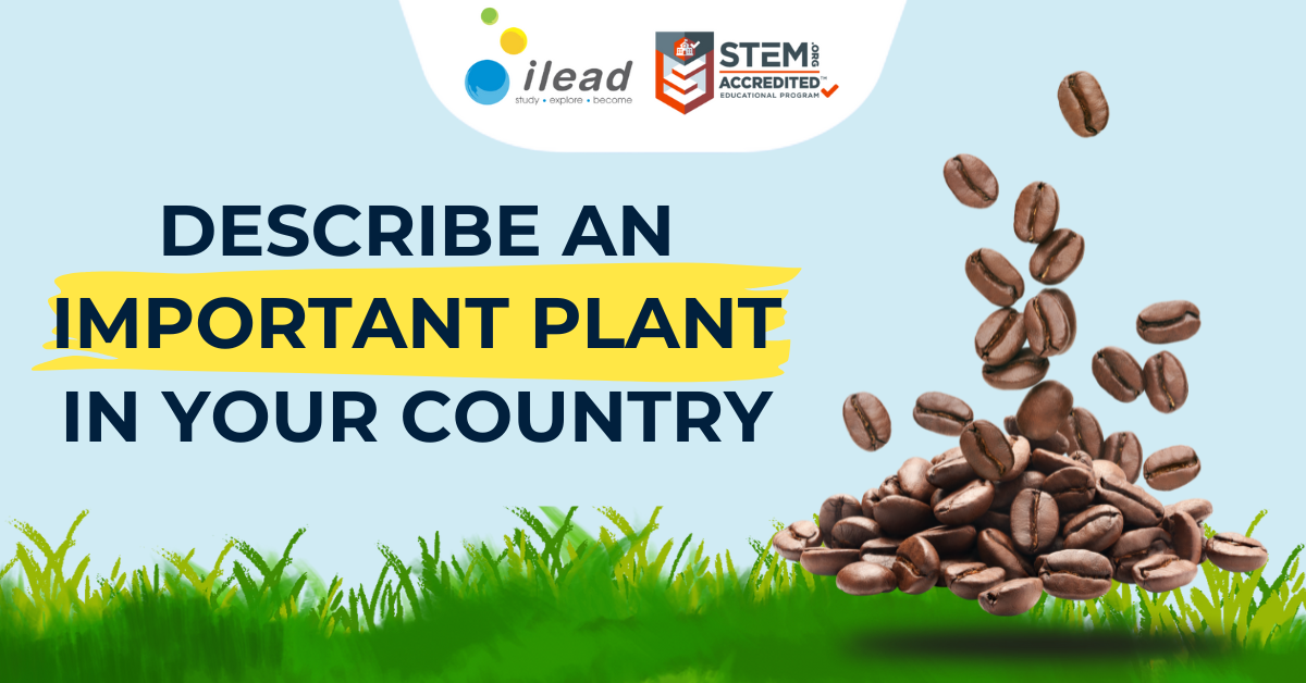 Describe an important plant in your country – Bài mẫu IELTS Speaking (có từ vựng)