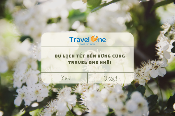 Travel One Hướng Dẫn Du Lịch Thân Thiện Với Môi Trường Dịp Tết