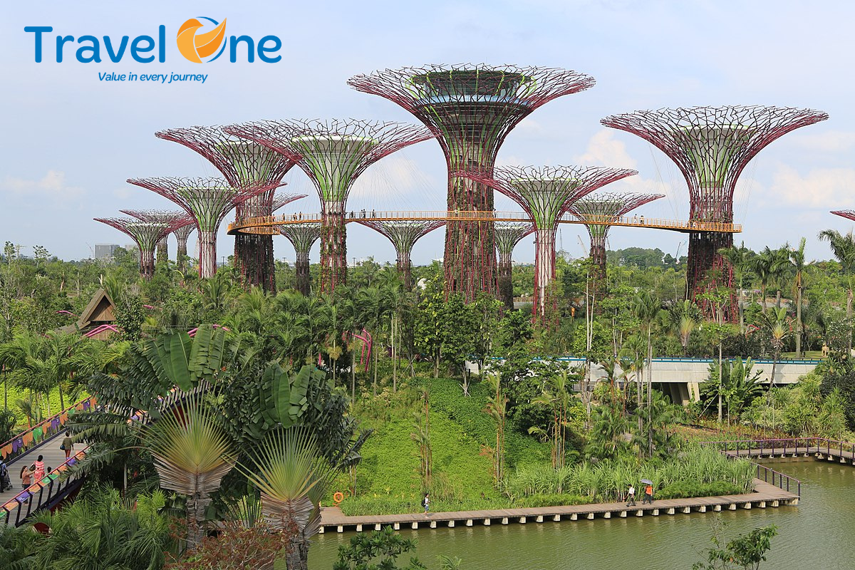 Cập Nhật Cẩm Nang Mới Nhất Về Gardens by the Bay Khi Đến Singapore