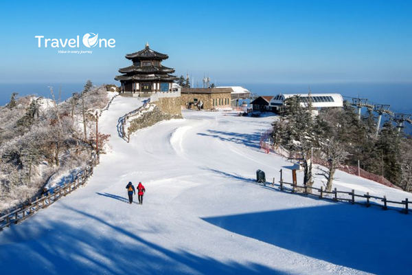 Ultimate Guide to Traveling South Korea: Everything You Need to Know for a Perfect Trip