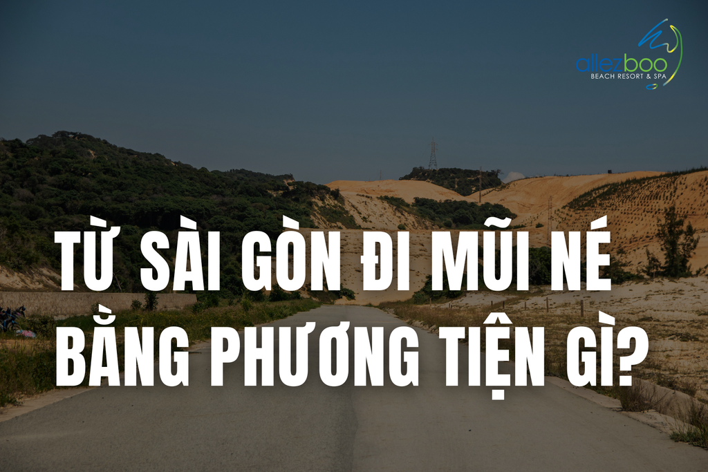 Từ Sài Gòn đi Mũi Né bằng các phương tiện gì? [Cập nhật 2025]