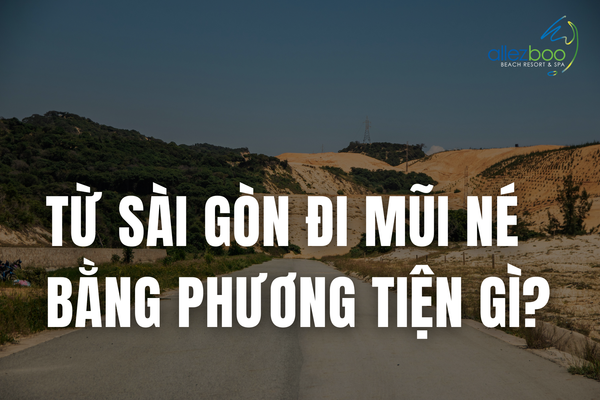 Từ Sài Gòn đi Mũi Né bằng các phương tiện gì? [Cập nhật 2025]