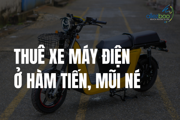 Thuê xe máy điện ở Hàm Tiến, Mũi Né dễ dàng trong 5 phút
