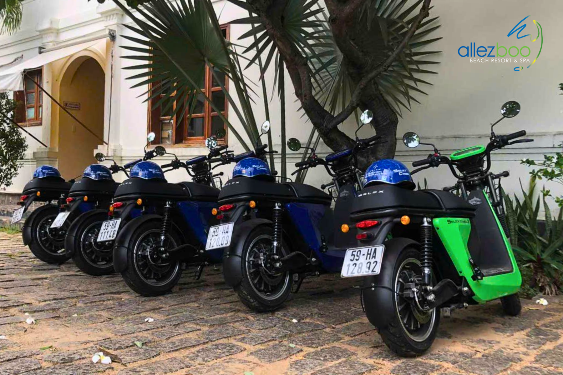 thuê xe điện phan thiết