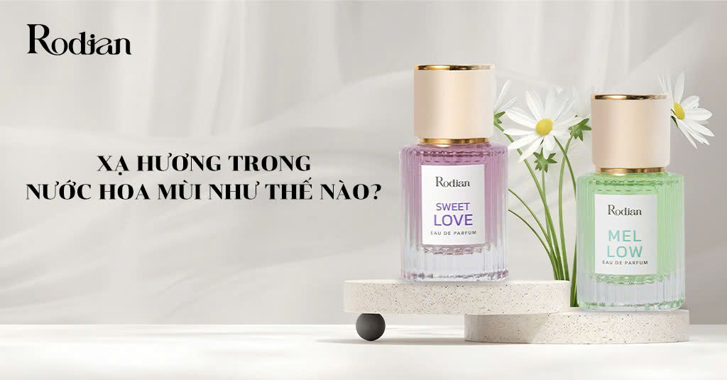 Xạ hương trong nước hoa mùi như thế nào?