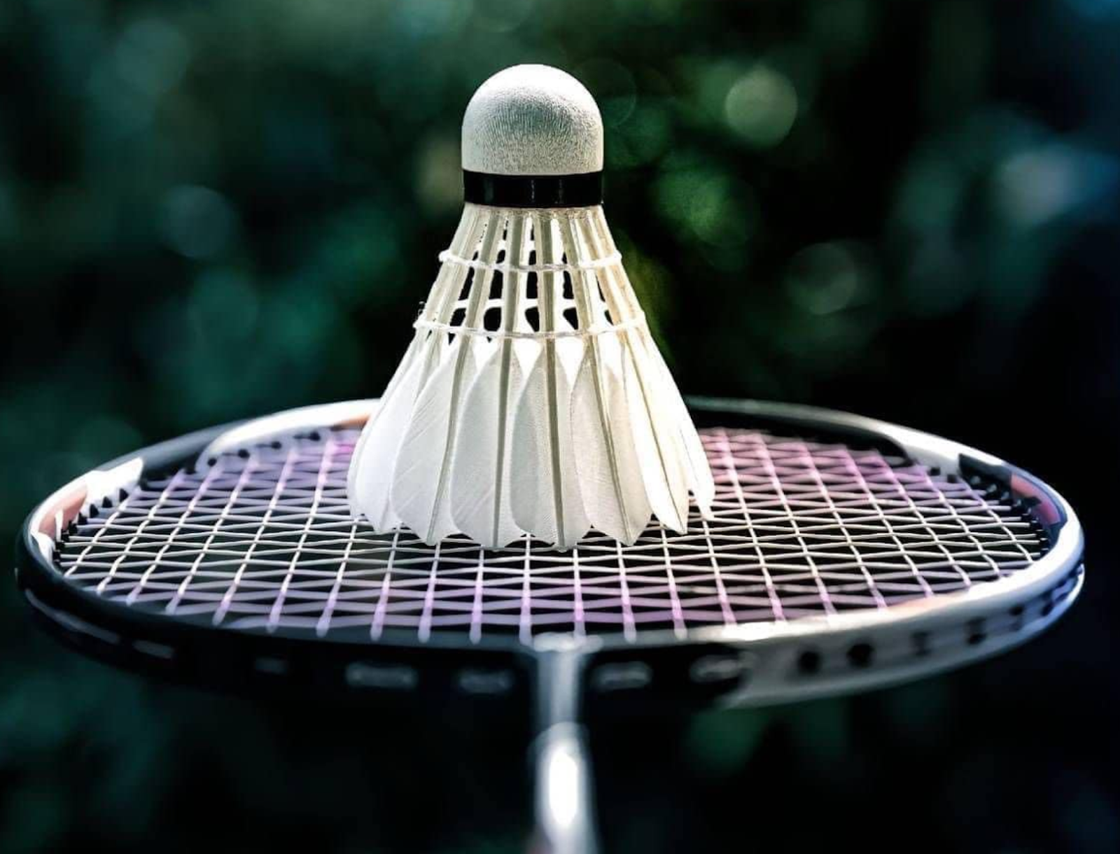 Tiêu chí đạt chuẩn của quả cầu lông khi thi đấu - XBSPORTS - HỆ THỐNG CỬA  HÀNG CẦU LÔNG UY TÍN