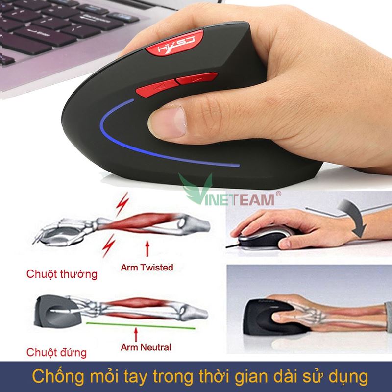 Chuột Công Thái Học Là Gì? Lợi Ích Của Chuột Công Thái Học