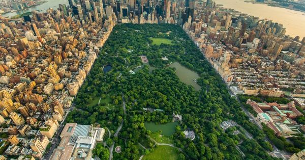 Dạo chơi ở công viên trung tâm Central Park