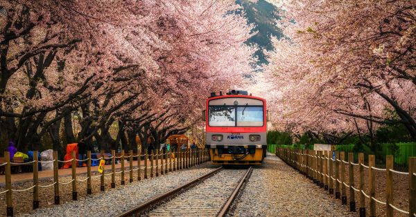 Di chuyển như thế nào khi du lịch Hàn Quốc