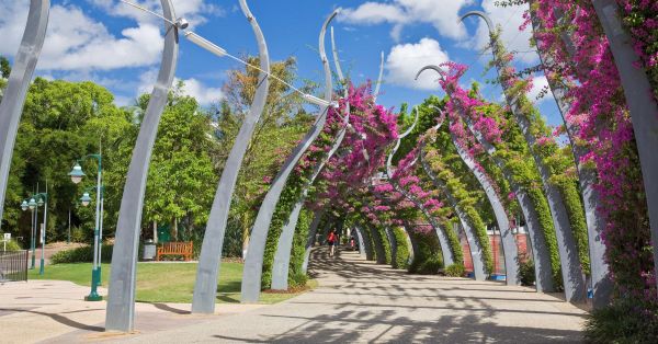 Thành phố hoa tím Brisbane đầy thơ mộng