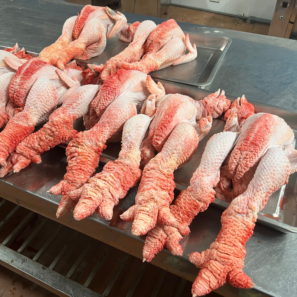 Gà Đông Tảo Quà Biếu