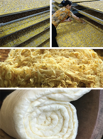 Tấm Bông Tằm Tự Dệt