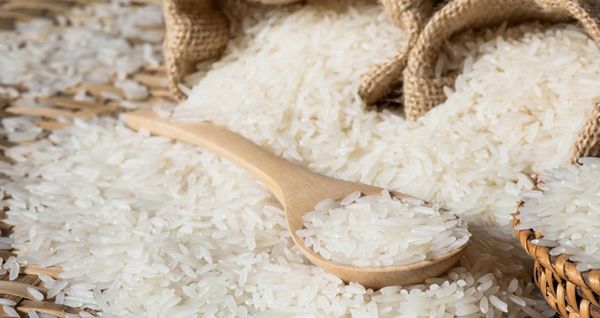 GẠO THUẦN LÀ GÌ?