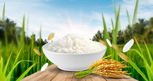 HƯỚNG DẪN NẤU CƠM NGON VỚI GẠO ST25: Bí quyết để thưởng thức hương vị tuyệt vời