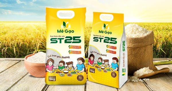 GẠO ST25 CỦA MÊ GẠO ĐẶC BIỆT?