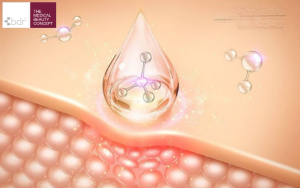 Chiết Xuất Thiên Nhiên Phục Hồi Hàng Rào Da: