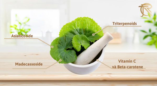 Sữa tắm gội