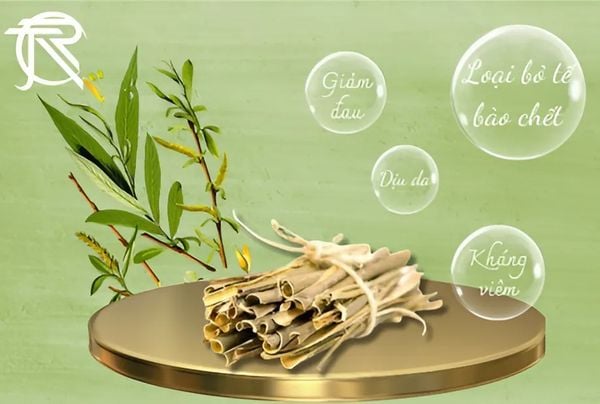 Sữa tắm gội