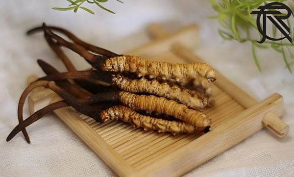 Sữa tắm gội