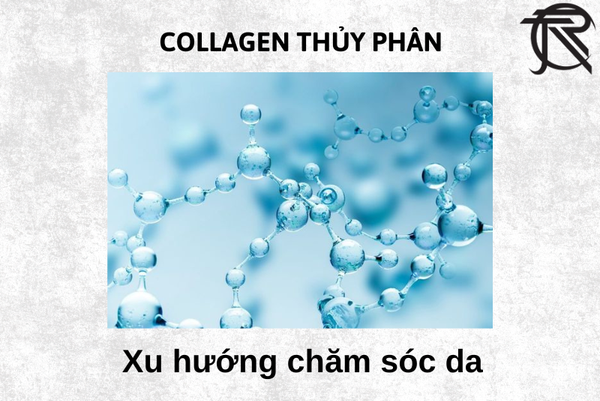 Sữa tắm gội