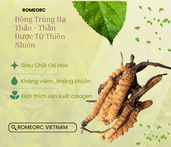 Sữa tắm gội