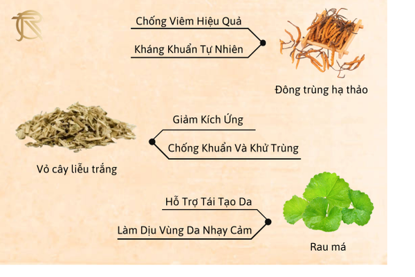 Dung dịch vệ sinh nam