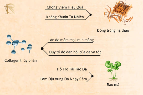 Sữa tắm gội