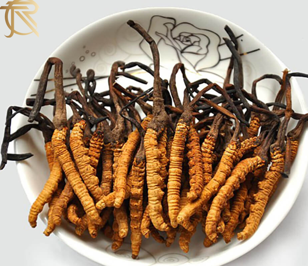 Đông Trùng Hạ Thảo