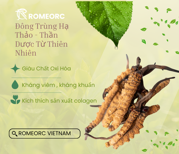 Đông Trùng Hạ Thảo