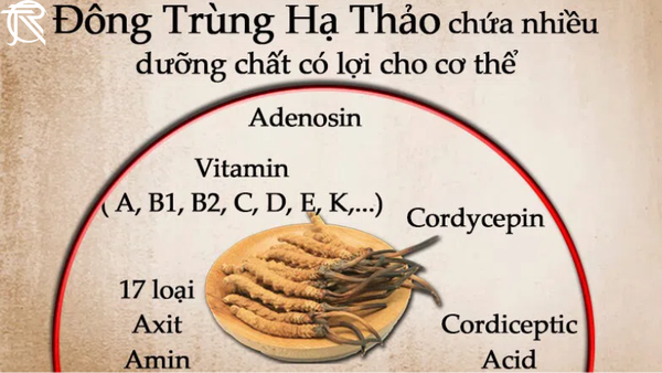 Đông Trùng Hạ Thảo
