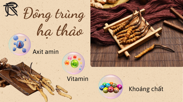 Sữa tắm gội
