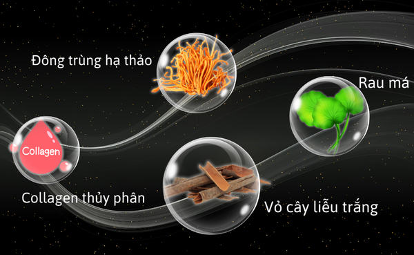 Sữa tăm gội