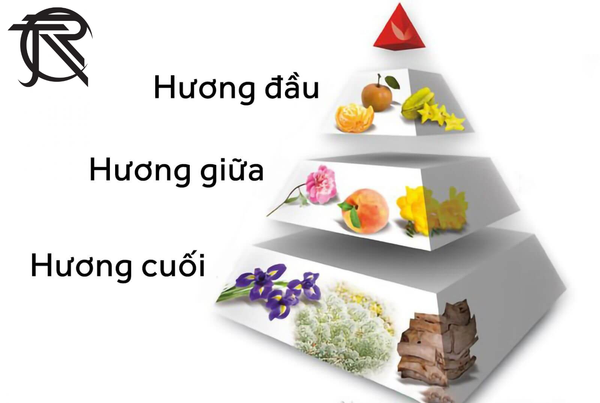 Sữa tắm gội