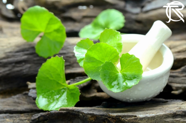 Sữa tắm gội