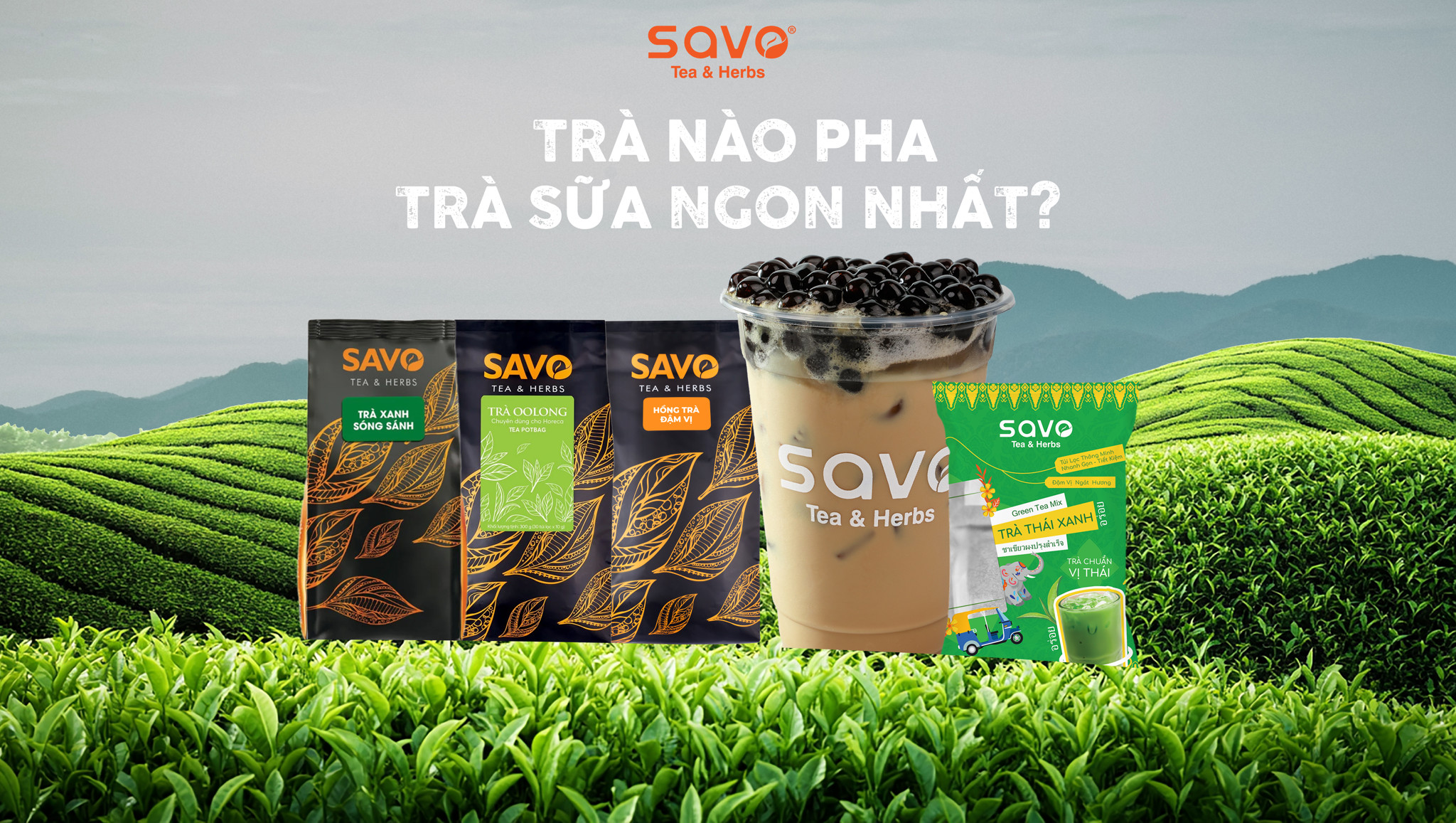 Trà nào pha trà sữa ngon nhất?