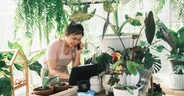 Thi Công Vườn Nhiệt Đới