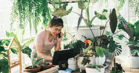 Thi Công Vườn Nhiệt Đới