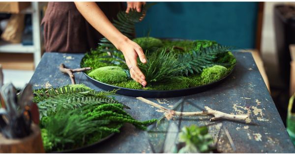 Nghệ Thuật Rêu Vĩnh Cửu