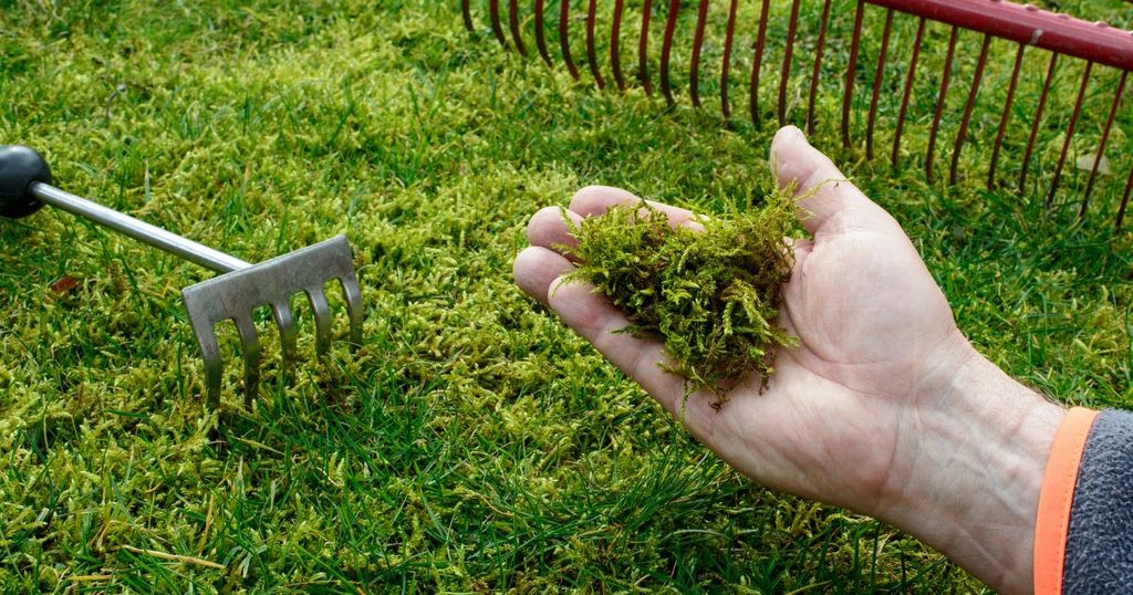 Chăm Sóc, Bảo Hành Và Bảo Quản