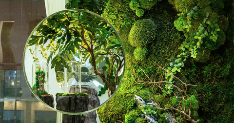 Mảng Tường - Tranh Rêu